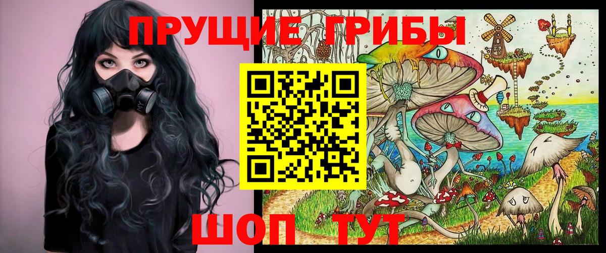 Вязники  Галлюциногенные грибы прущие грибы  Вход с VPN 